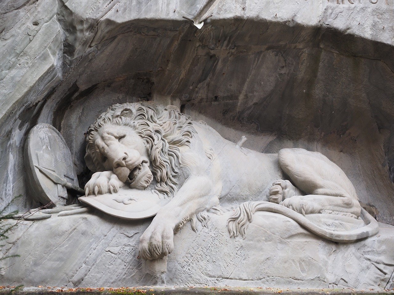 Is the Church Really Where Dreams go to Die?
